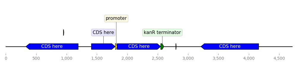 ../_images/custom_biopython_translator.png
