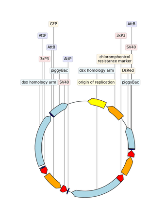 ../_images/example_with_gif.gif