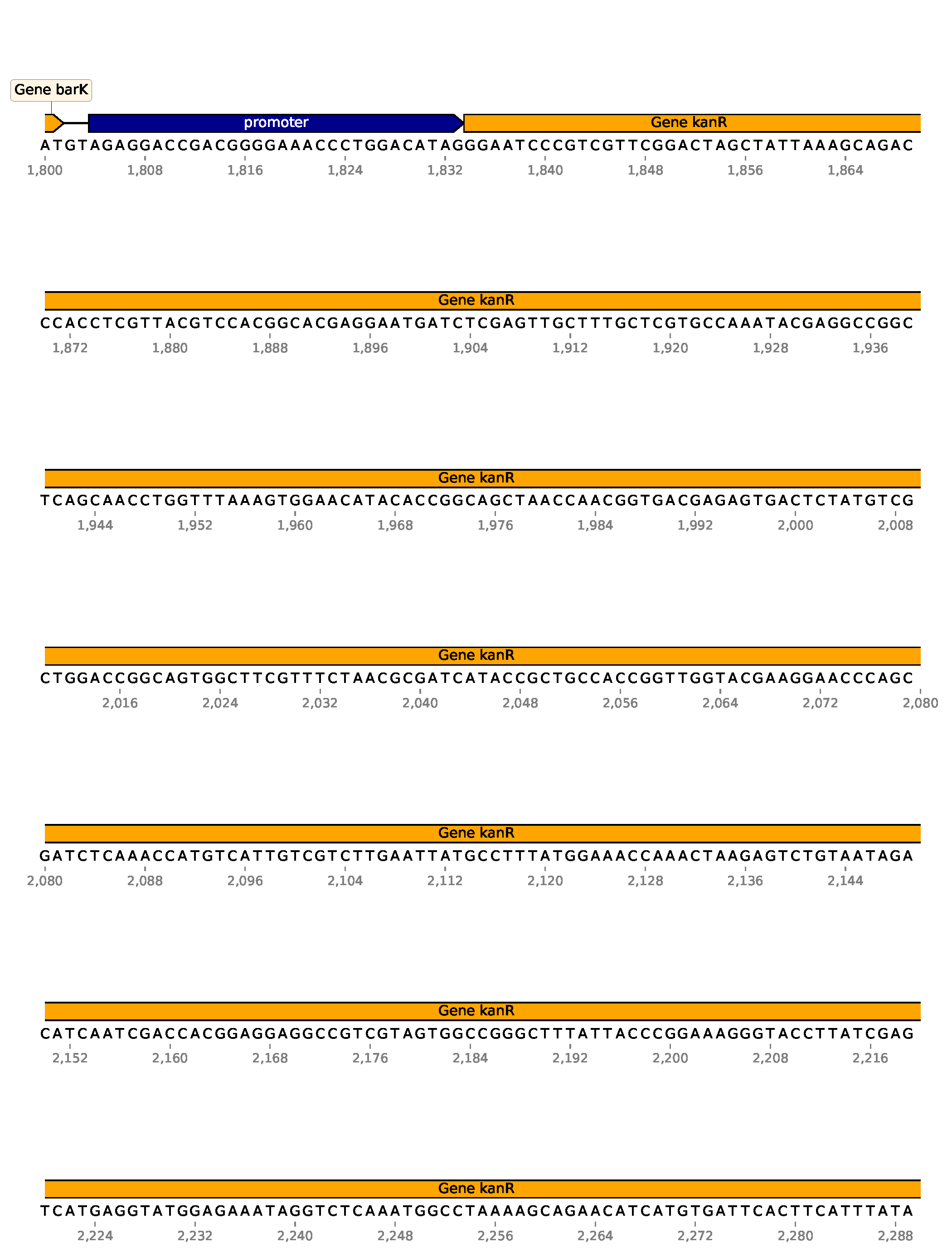../_images/multipage_1.png